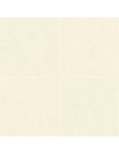 Century Calcio 60 X 60 R